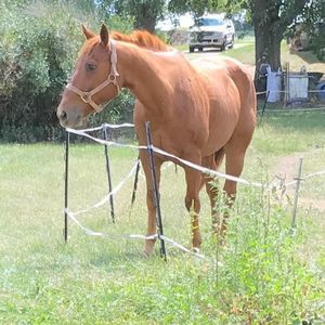 Meet your Posher, Ava